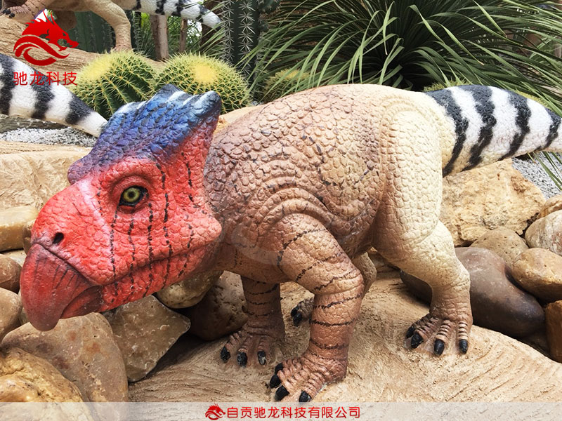 仿真恐龙-原角龙近亲弱角龙Bagaceratops