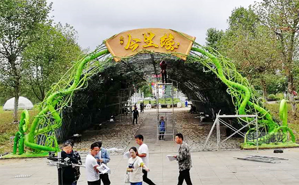 贵州山里江南藤蔓拱门